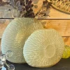 Vase Concha verre jaune 24x10x33cm