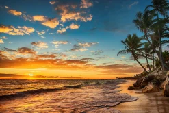 Vlieseline Papier Peint Photo COUCHER DE SOLEIL Plage Mer Paysage 3D 315cm x 210cm